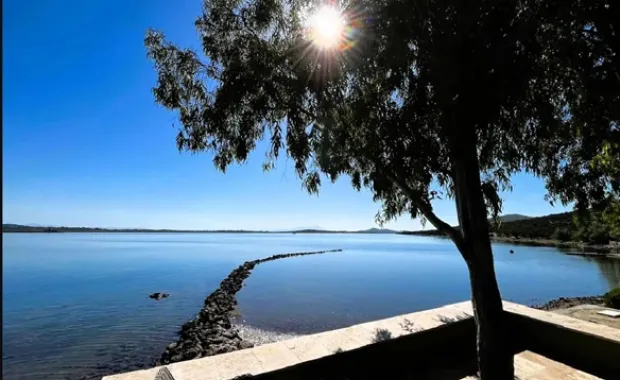 Kiralık Evin Geliri Sabancı Üniversitesi Burs Fonu’na Aktarılacak