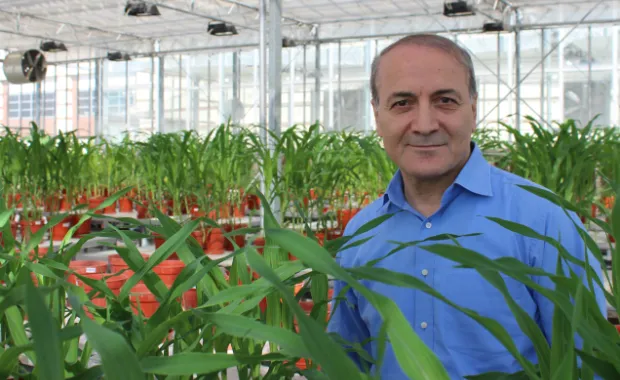Dünyanın En Etkili Bilim İnsanları Listesinde Öğretim Üyemiz İsmail Çakmak Türkiye’den Birinci Sırada