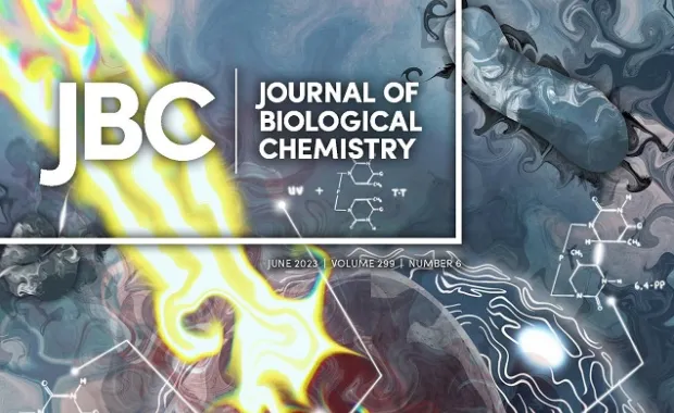 Ogün Adebali’nin projesi JBC'nin kapağında yayınlandı