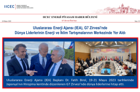 IICEC Newsletter 33