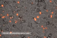 Bioengineers on the Cusp of a New Era of Cancer Treatment