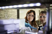 Great achievement by SU graduate Ahu Gümrah Parry