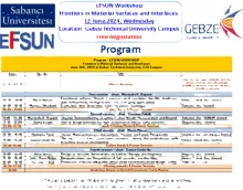EFSUN Frontiers in Material Surfaces and Interfaces