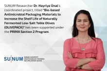 The International Project Success of SUNUM Researcher