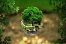 Education Reform Initiative Collaborates for Green Transformation in Education