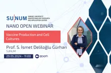 Vaccine Production and Cell Cultures