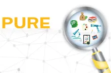 Program for Undergraduate Research (PURE) applications