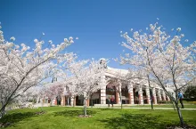SU Gender Receives 5th Horizon 2020 Project within 2 years