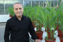 Ismail Cakmak Chosen as 2016 IPNI Science Award Winner