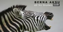 FASS Art Gallery exhibition: Pain by Berna Aksu