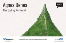 ‘The Living Pyramid’ by Agnes Denes will complete its cycle of four seasons at the SSM