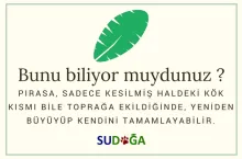 Bunu biliyor muydunuz?