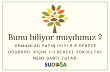 Bunu biliyor muydunuz?
