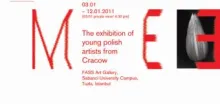 Krakow Güzel Sanatlar Akademisi FASS Art Galeri'de