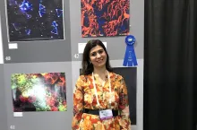 SUNUM Araştırmacısı Meltem Sezen “Science as Art” yarışmasında derece aldı