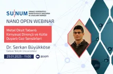Metal Oksit Tabanlı Kimyasal Dirençli ve Kütle Duyarlı Gaz Sensörleri