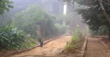 “Tetikte” ve “Adım Adım”
