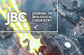 JBC Cover