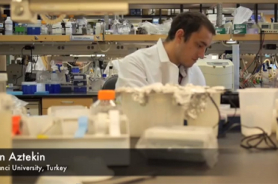 Stem Cell Analysis at Harvard Resmi