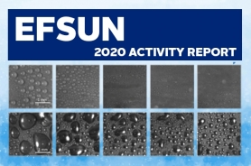 EFSUN 2020 Activity Report Resmi