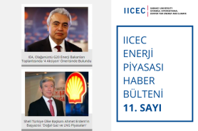 IICEC Energy Market Newsletter - 11 Resmi