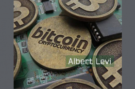 "Bitcoin: What is it? Why it exists? How it survives?" Resmi